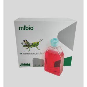 雞外周血單核細(xì)胞主圖