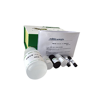 總抗壞血酸(TAA)含量測定(紅菲咯啉法)分光法/48樣主圖