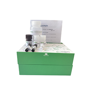 支鏈氨基酸轉氨酶(BCAT)活性測定試劑盒分光法/24樣主圖