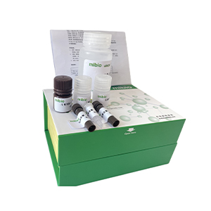 天冬酰胺酶(ASNase/asparaginase)活性測(cè)定試劑盒微板法/96樣主圖