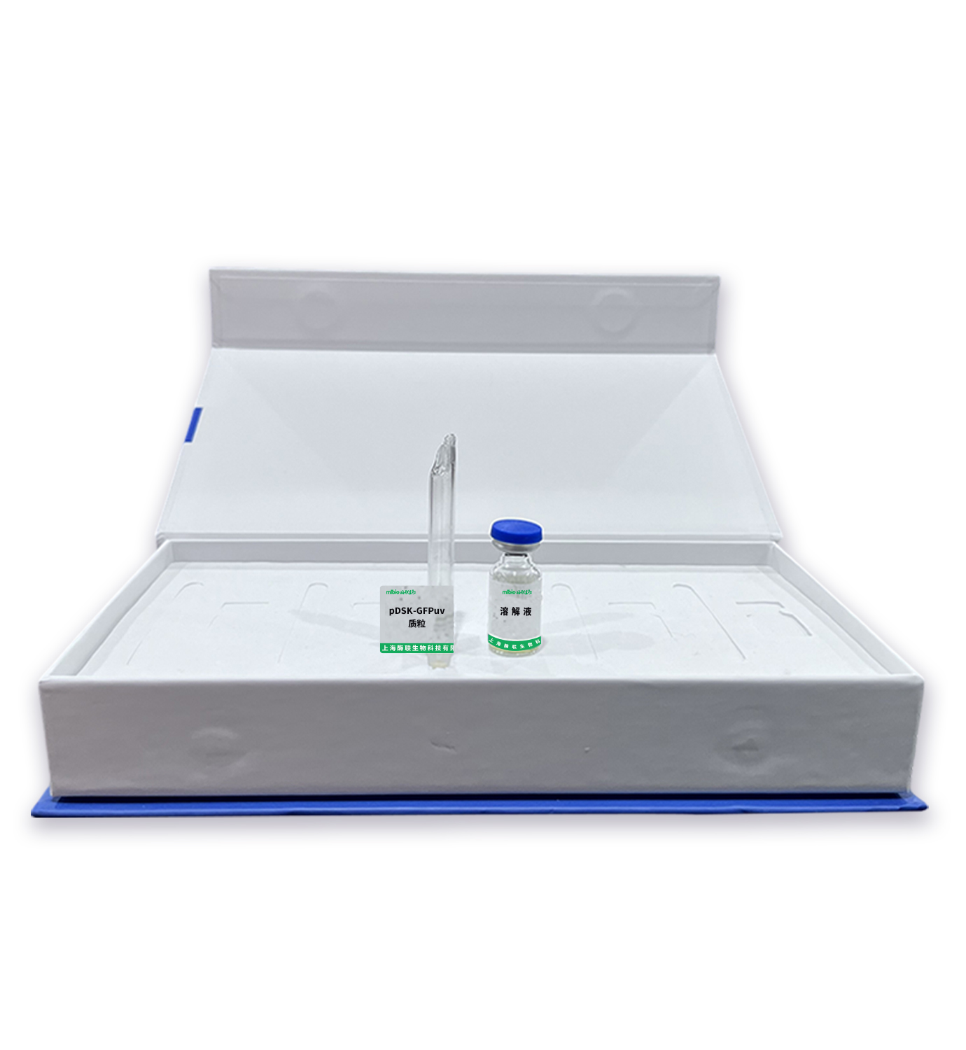 pDSK-GFPuv質(zhì)粒主圖