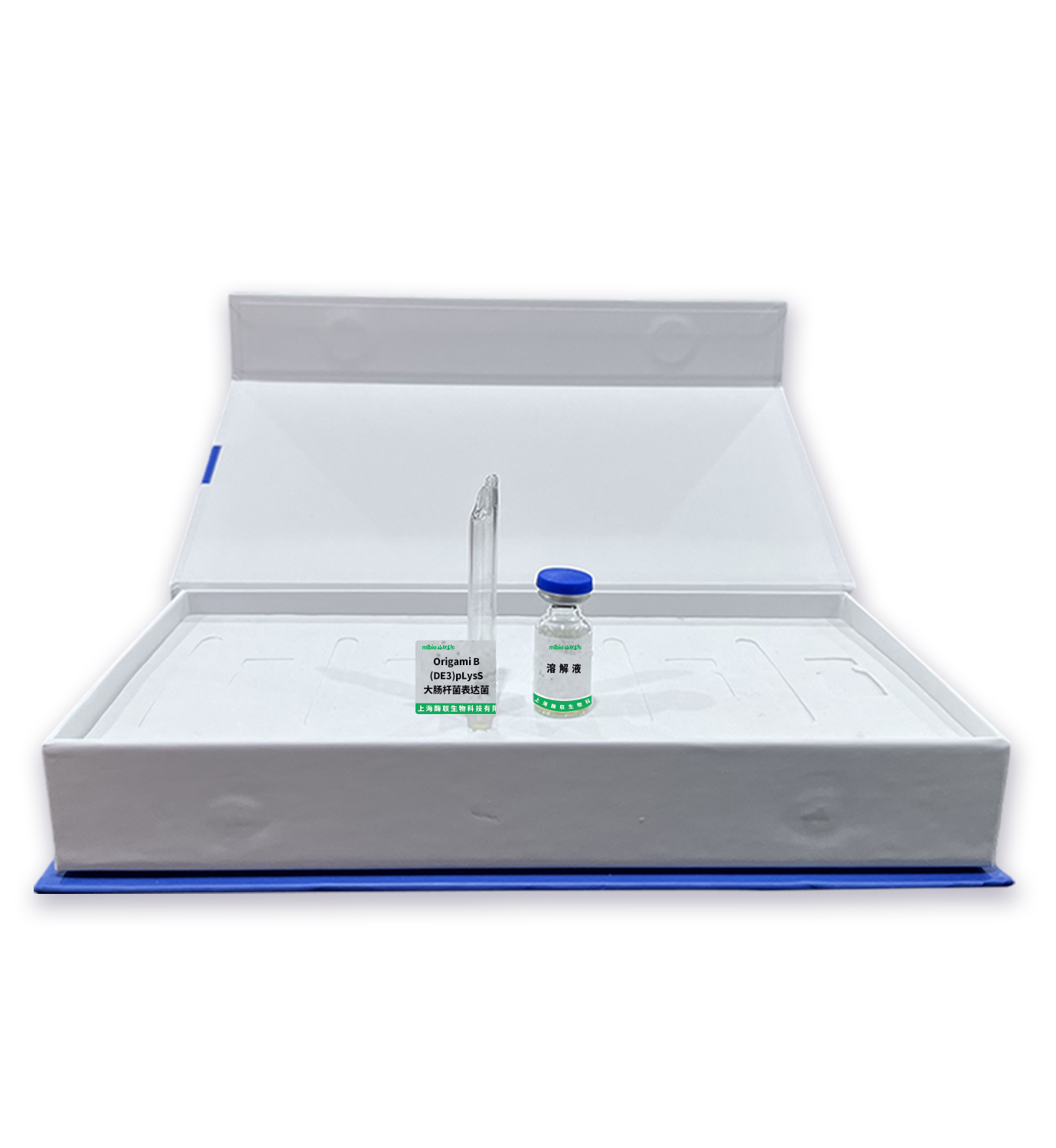 Origami B(DE3)pLysS大腸桿菌表達菌主圖