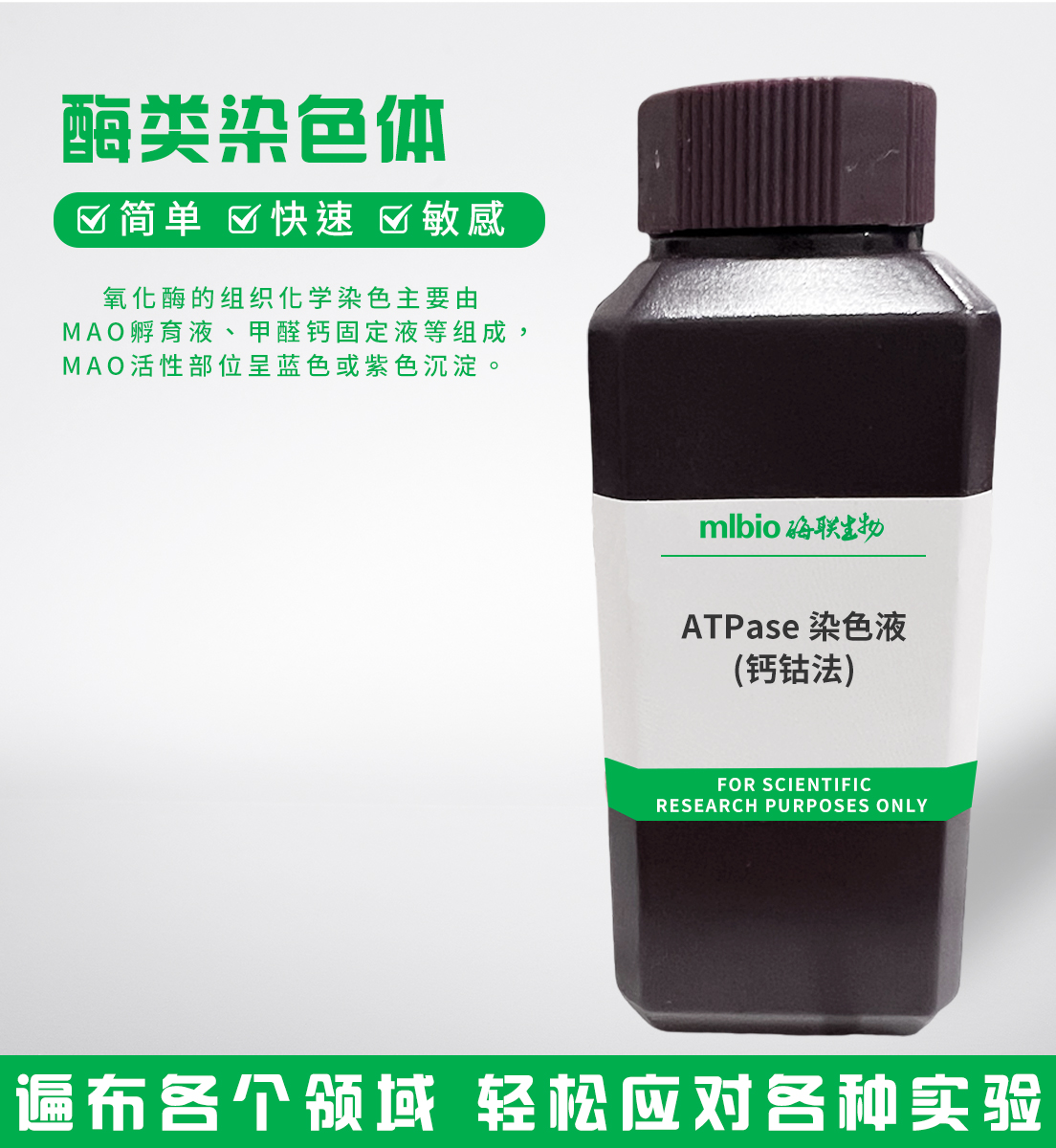 ATPase染色液(鈣鈷法)主圖