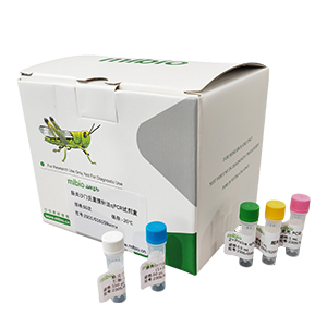 獸疫鏈球菌探針法qPCR試劑盒(不含內(nèi)參)主圖