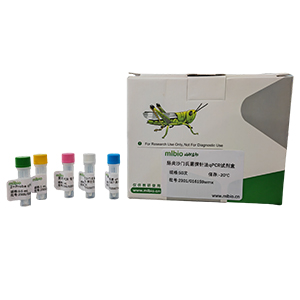 人腺病毒D56型探針?lè)╭PCR試劑盒(不含內(nèi)參)主圖