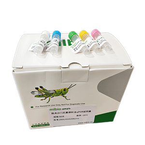 鼻病毒探針法qRT-PCR試劑盒(不含內(nèi)參)主圖