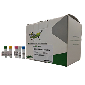 ?？虏《?4型探針法qRT-PCR試劑盒(不含內(nèi)參)主圖