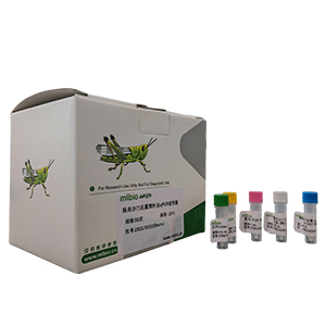 淋巴細胞性脈絡(luò)叢腦膜炎病毒探針法qRT-PCR試劑盒(不含內(nèi)參)主圖