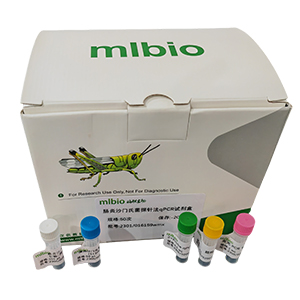 人IL-6(白細胞介素6)基因597GA點突變探針法qPCR檢測試劑盒(不含內參)主圖