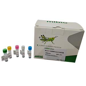 鳥綱通用性別測定探針法qPCR試劑盒(含內參)主圖